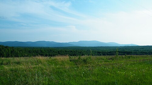 Amur meadow steppe